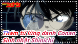 [Thám tử lừng danh Conan] Shinichi / Sinh nhật khó quên