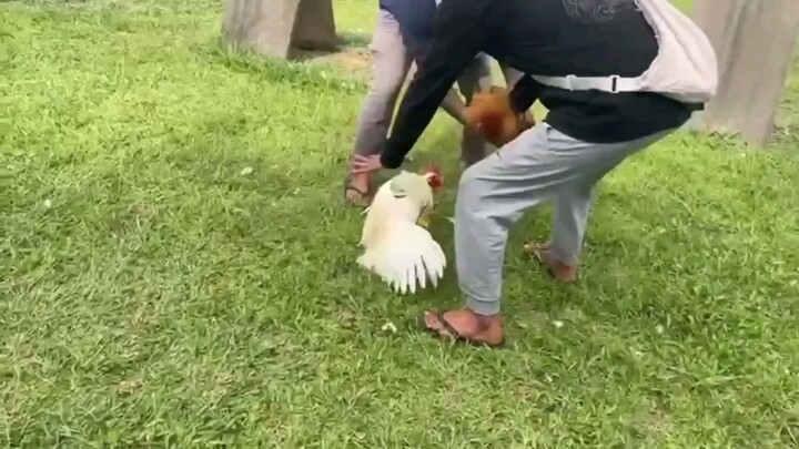 puro naka kargada