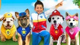 Max và chú chó giải cứu bạn bè và đồ chơi trong câu chuyện siêu anh hùng mới dành cho trẻ em