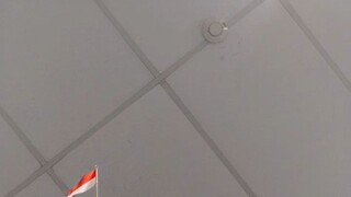 tes