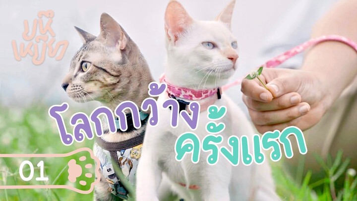 (EN) โลกใบกว้างครั้งแรกของลูกแมว - มหึเหมียว EP1