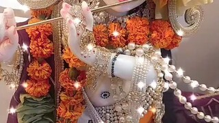 Radhe Radhe