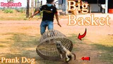 Real Prank! Bamboo Basket Prank Sleeping Dog | Super Surprise with Reaction | Try not To Laugh