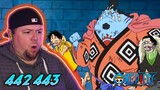 Luffy's New Crew | One Piece REACTION - Episode 442 & 443