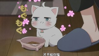 上司是个天然呆 猫咪好可爱想rua