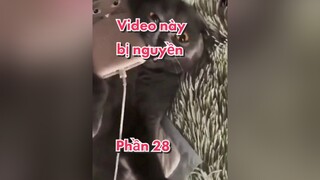 Đăng nốt vid xóa kênh luôn - Phần 27 xuhuong memes trending fyp fypシ