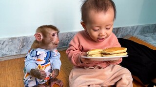 Monkey KaKa and Baby Diem enjoy delicious doraemon donuts