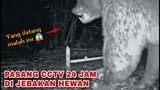 CCTV JEBAKAN: NIAT JERAT BURUNG, YANG DATANG MALAH BINATANG INI DAN MERUSAK SEMUANYA