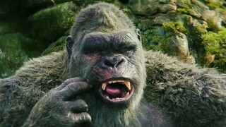 King Kong định cho mình thêm đùi gà nhưng khi thức ăn chạm vào răng, anh ta hét lên đau đớn thì ra a