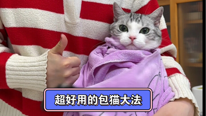 家里猫不让洗耳朵 刷牙怎么办？贼好用的控猫方法，每个铲屎官必学技能！之前说家里猫很难控制的  这次已经优化啦 快去给猫咪试试！#新手养猫 #宠物知识