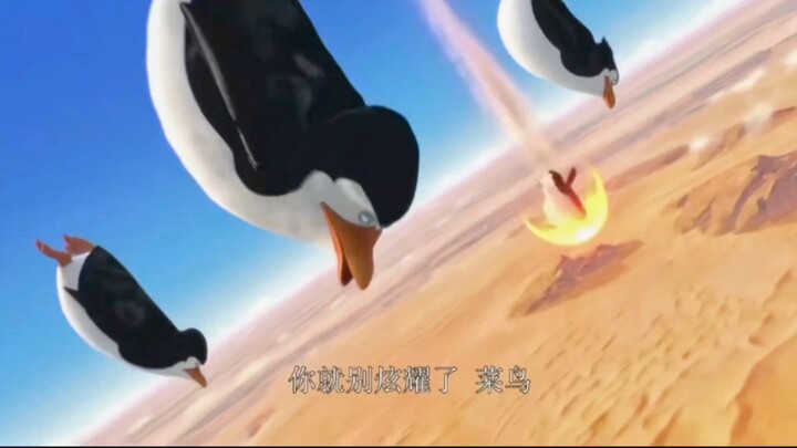 老大；菜鸟你就别炫耀了