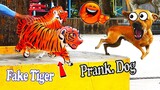 Fake tiger vs real dogs prank very funny - try not to laugh with funny dog prank