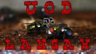 TAGALOG HORROR STORY | UOD AT LANGAW | HORROR TRUE STORY