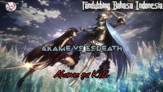 Siapakah Pemenangnya? Akame vs Esdeath part 2 || Akame ga Kill (Fandubbing Indonesia)