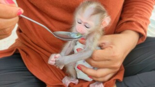 Tiny adorable Luca is trying to taste the sweets with milk for the first time