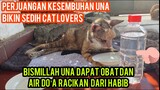 Masya Allah Kucing Una Dapat Obat Tumor Racikan Habib Bismillah..!