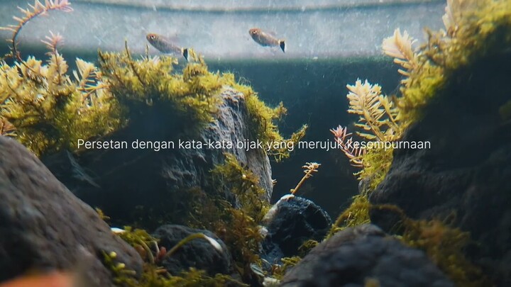 Hanya Kamu Yang Tau Tentangmu - [LYRIC VIDEO]