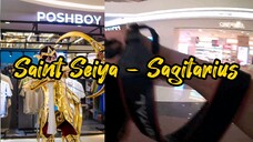 Hunting Foto | Saint Saiya