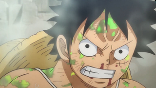 Luffy tests the feeling of being infected with C.o.v.i.d -19