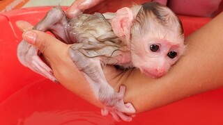 Routine Morning!! Tiny adorable Luca keeps silent & patiently when Mom takes a bath for him