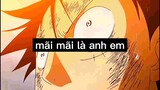 Mãi mãi là anh emOne piece