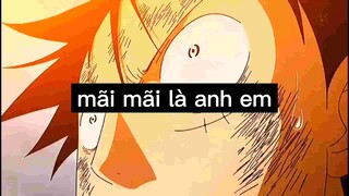 Mãi mãi là anh emOne piece