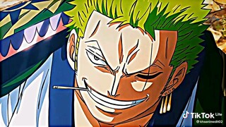 zoronoa zoro