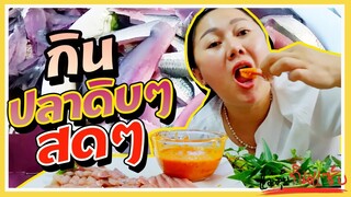 กินปลาดิบๆ สดๆ (ปลาโอกาแล้ซาชิมิ) l แม่มุ้ยกินแซ่บ