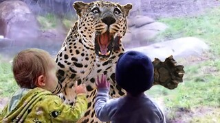 Animals Trolling Kids At Zoo 5 - Try Not To Laugh Funny Animal 2021 | Pet Squad