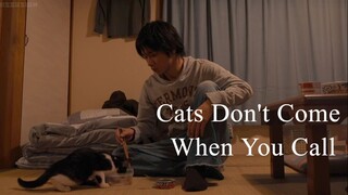 Cats Don't Come When You Call | Japanese Movie 2016