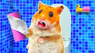 When HamHam runs out of toilet paper 🧻 Funny animals | Life Of Pets Hamham