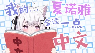 我的女朋友会读一点中文/私の彼女は中国語が少し読めます