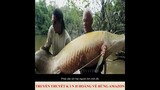 Truyền thuyết kinh hoàng về rừng rậm AMAZON | Review Phim