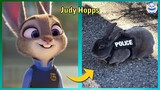 Zootopia ALL Characters In Real Life 2022