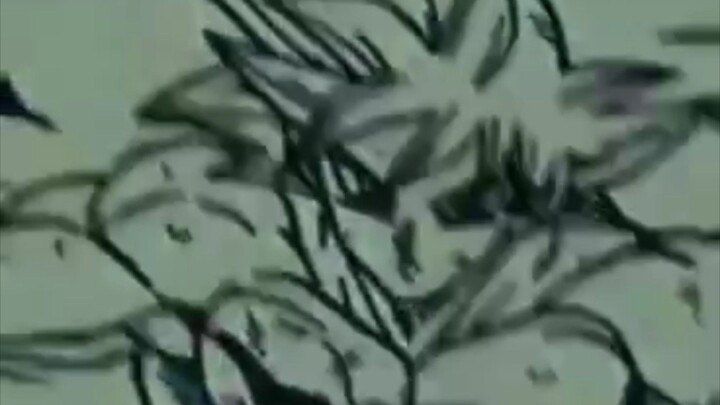 Songoku sigma