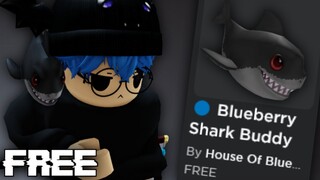 LUCU BANGET! ITEM GRATIS BARU Blueberry Shark Buddy DAPETIN SEKARANG!!