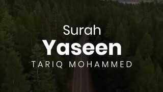 surah yaseen