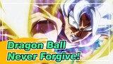Dragon Ball|I'm no hero of justice, but I will never forgive the guy who hurt my friends!