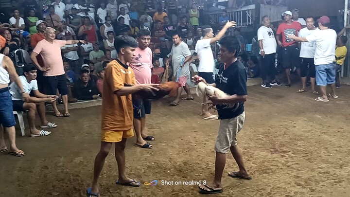 #second fight gold 3x winner
