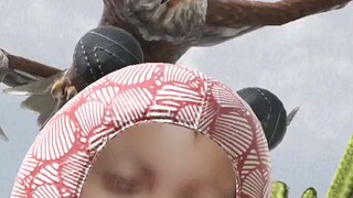 kulit..