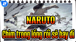 [NARUTO AMV] Hyuga Neji - Chim trong lồng rồi sẽ bay đi_2