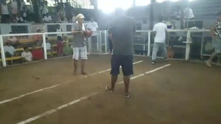 Pangalawang Laban nang aking Straightcomb 🔥 9-23-23🐓 2x Winner