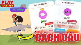 Hướng Dẫn Full Địa Điểm + Thời Gian + Loại Bóng Câu Tất Cả Cá Mới Thành Công 100% | Play Together