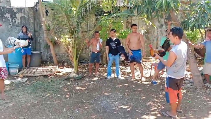 talo
