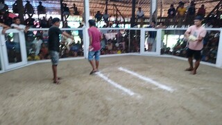 3 hits 3rd fight win my  6 years old winning line white