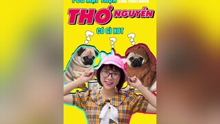 Bé Pug tên Thộn của nữ youtuber Thơ Nguyễn có gì đặc biệt? tuitienpet education dcgr pug pet thucung