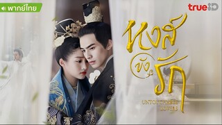 หงส์ขังรัก ตอนที่ 16