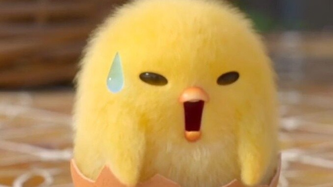Banyak koleksi paket ekspresi ayam dan hewan. Paket ekspresi ayam dan hewan super imut yang seru, im