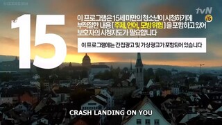 Crash landing on you - episode 14