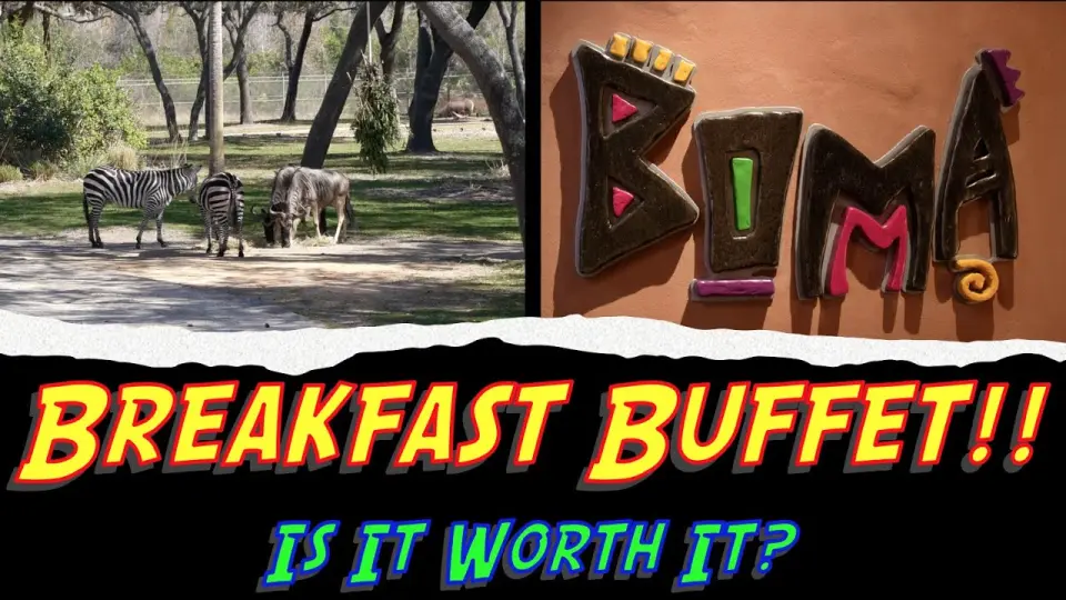Boma Breakfast Buffet At Animal Kingdom Lodge (Jambo Dining Review) -  Bilibili